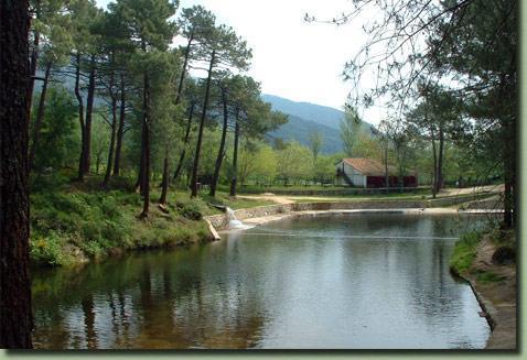 Casa Rural De La Parra La Adrada Dış mekan fotoğraf