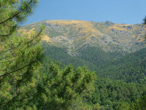 Casa Rural De La Parra La Adrada Dış mekan fotoğraf